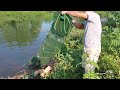 Bẫy Cá Bằng Lưới Bát Quái – Thành Quả Bất Ngờ!