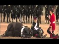 Beating Retreat 2013: The Household Cavalry Mounted Band