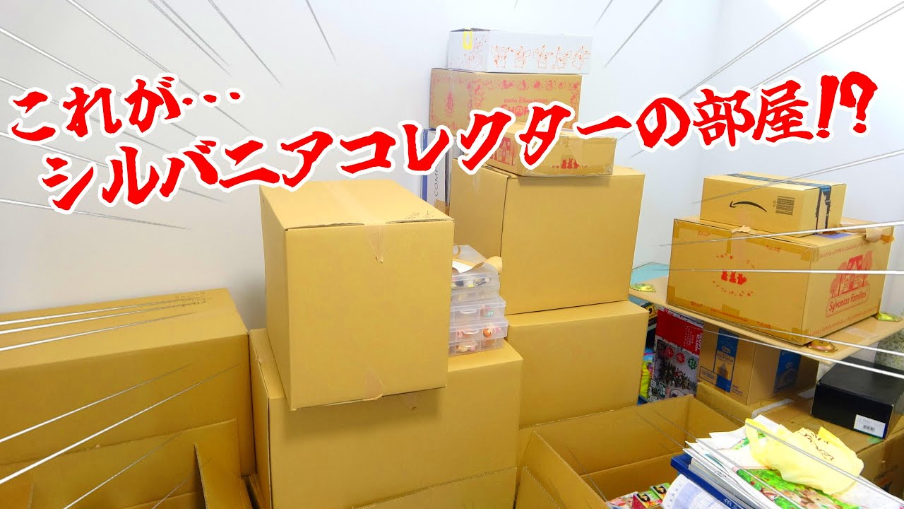 【ｼﾙﾊﾞﾆｱﾌｧﾐﾘｰ】お宝ザクザク⁉コレクションが多すぎて引っ越し後の荷ほどきが終わらない