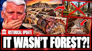 Geologists Just Discovered What Arizona's Petrified Forest REALLY Is — SHOCKING New Evidence