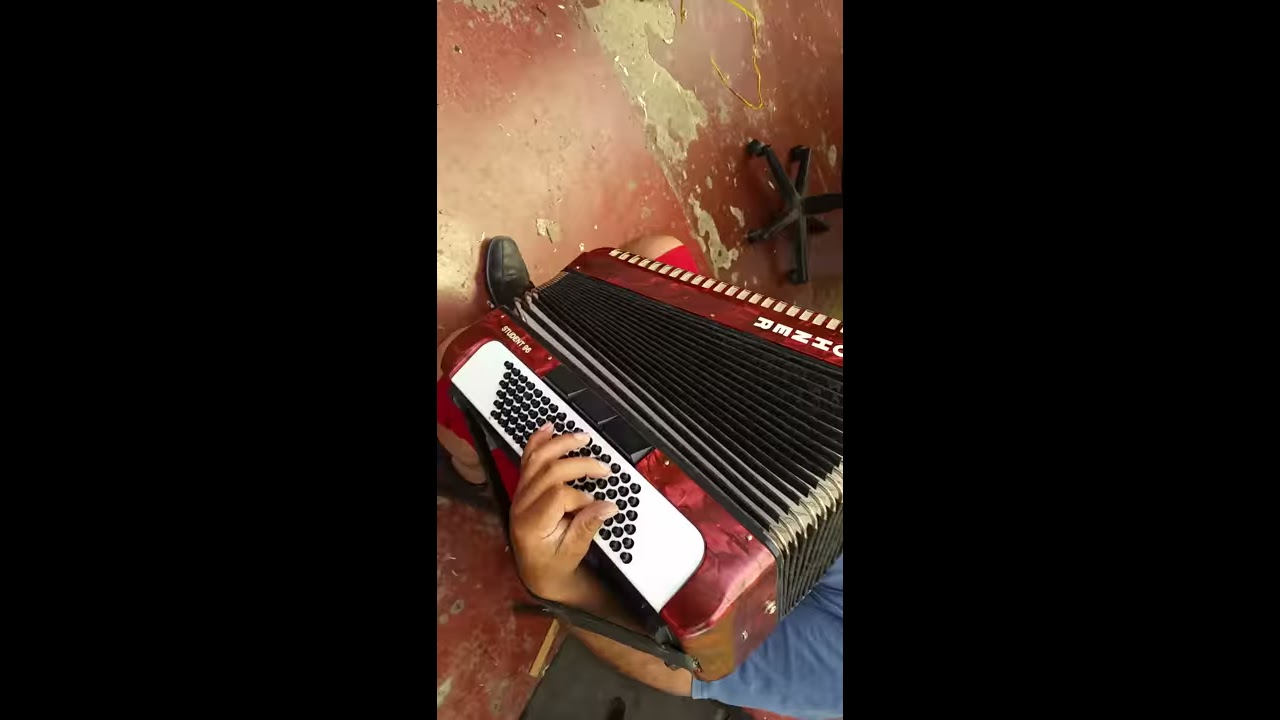 Hohner Student 96 - YouTube