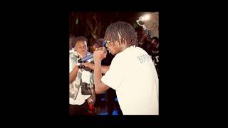 Ziggy Zagga -New Son Driil