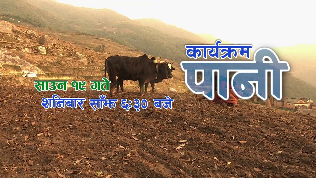 Paani | Promo - Episode 25