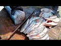 Vangaram(Seer Fish) Cutting/Indian Fish Market