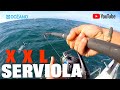 Serviola XXL, Documental con espectaculares capturas en Cadiz.