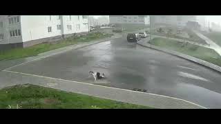 Девочка на роликах борется со шквалистым ветром в Минске