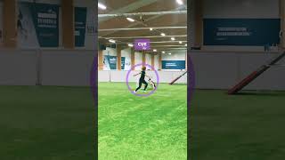 Dog agility tip  Connect, Commit, Cue