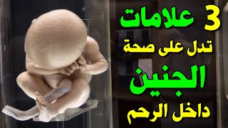 3 علامات تشير الى أن الجنين بصحة جيدة