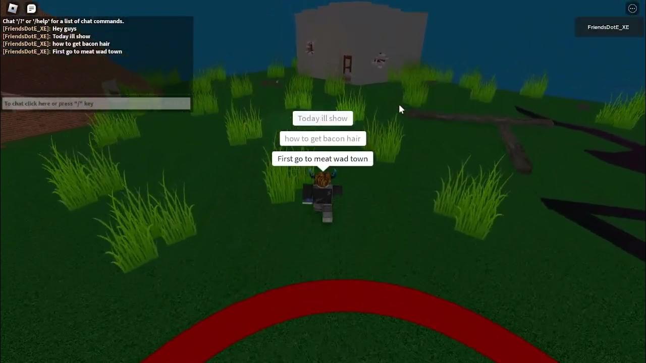 How to get Bacon Hair (FAN special) in Friends.EXE YouTube