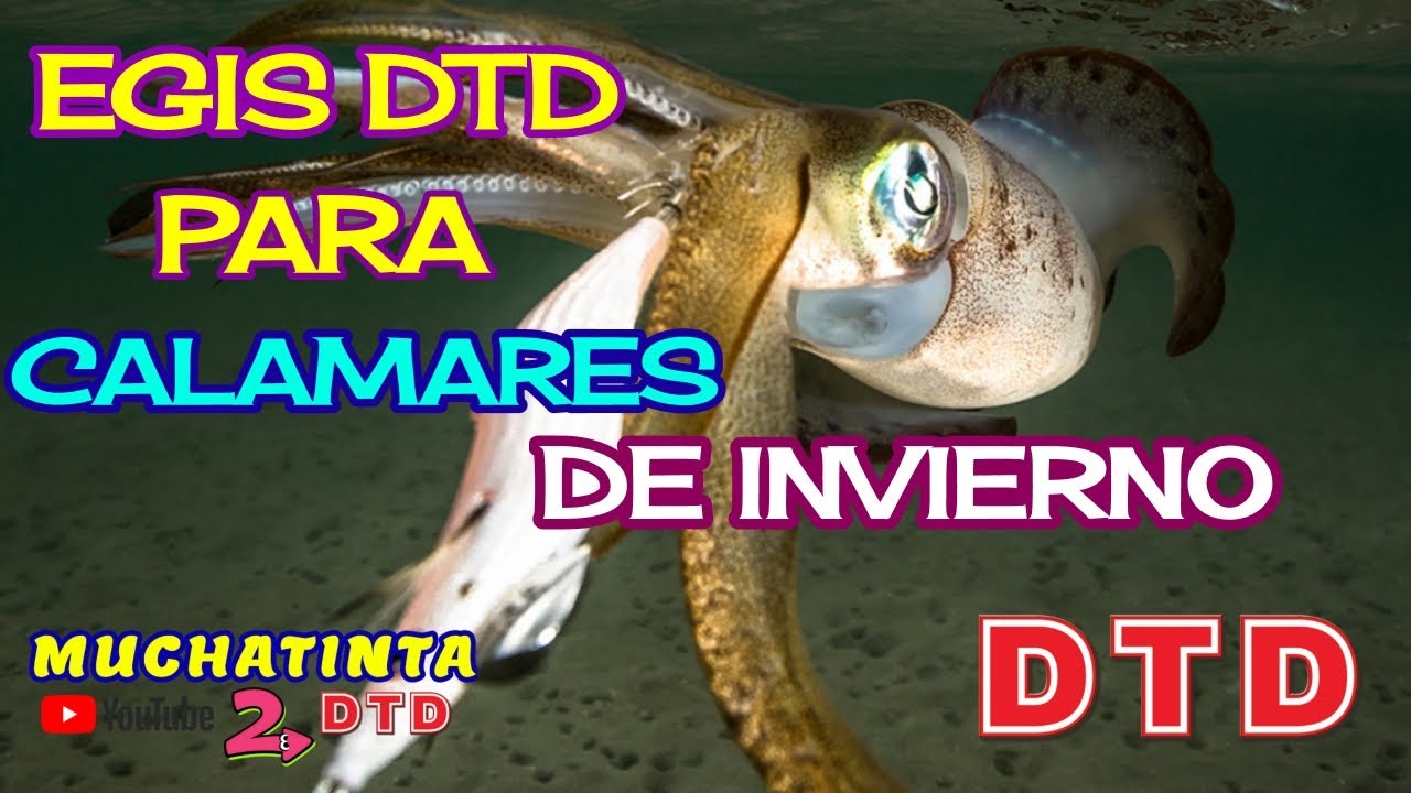 EGIS DTD para calamares de invierno🦑🦑