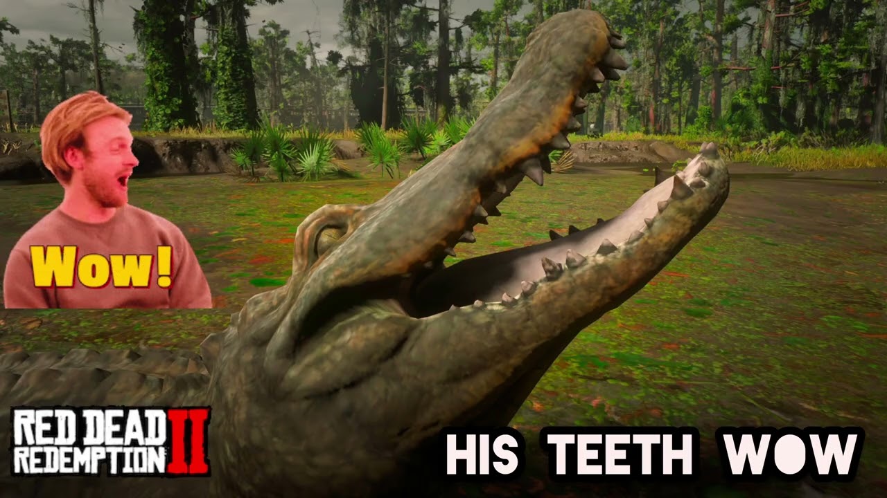 Red Dead Redemption 2  Alligator So Realistic 