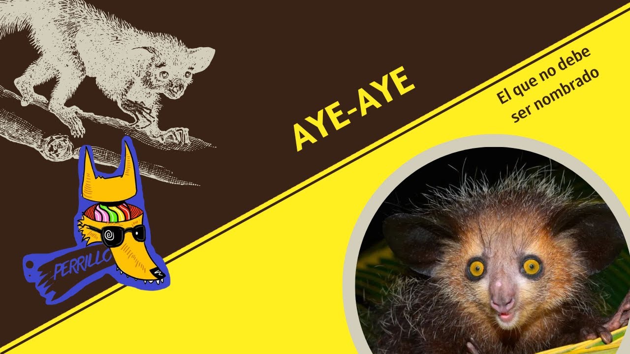 Aye-Aye: El que no debe ser nombrado | Ep 131| CULTURA COLMILLUDA