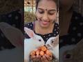 എന്റെ മുയൽകുഞ്ഞുങ്ങൾ🥰#shortsfeed #rabbits #ytshorts #petanimals #aishorts #ai #trendingnow #carrot