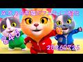 深夜のお家猫カフェライブ配信　８４６