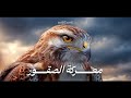 معركة الصقور أخطر طيور الطبيعة أسرار وعجائب القصة كاملة وثائقي