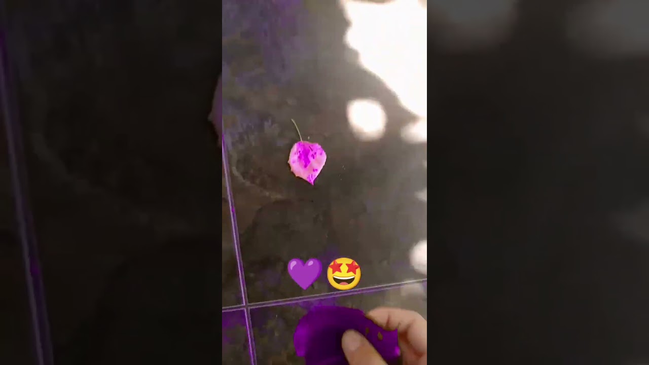 Вааааай фиолетовый мир 🤩💜💜🤩🤩💜