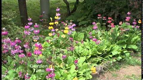 Connie Hansen Garden