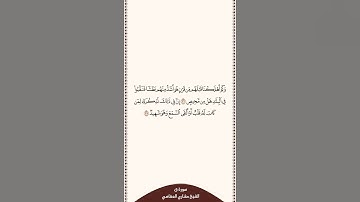 تلاوة في دقيقة سورة ق الآيات من ٣٦ إلى ٣٧ الشيخ مشاري العفاسي