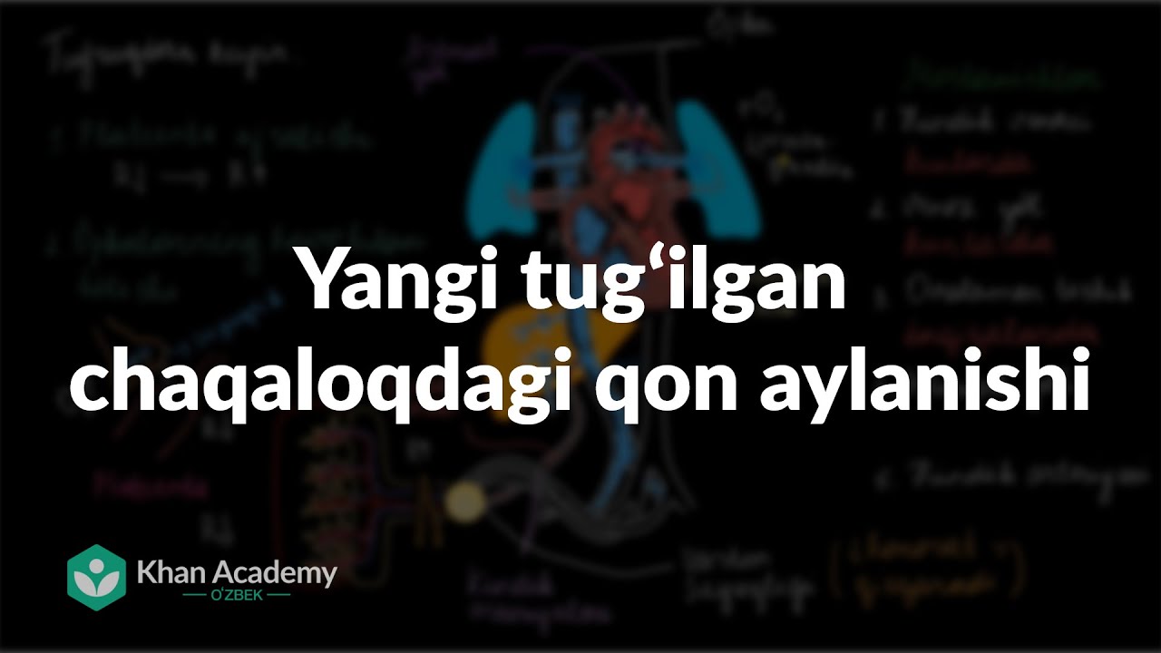 Kokrak modellari bilan anal porno tomosha qiling Maks va Vikaning sabzavot omboridagi oshxonadagi jinsiy aloqa sahnasi
