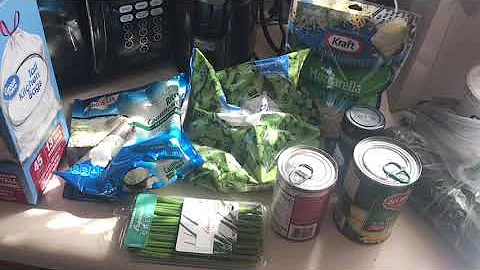 WW Freestyle Grocery Haul - 99 Cent Only Store, Walmart, Trader Joe’s, WW