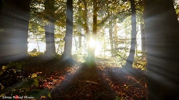 109 سورة الكافرون بصوت كروان السماء الشيخ محمود على البنا
