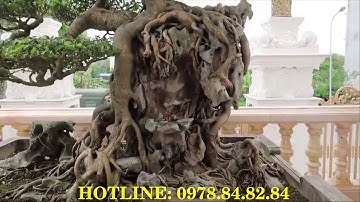 Cổng Cửa Cầu thang Lan can Hàng rào Hoa bông gió Giường ghế nhôm đúc tại Đắc Đoa Gia Lai