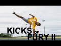 Capoeira Strongest kick | Kicks Of Fury 2 | Brazilian Martial Arts