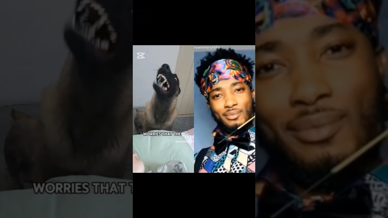 Why This Dog & Owner Bond is So Incredible