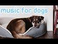 Deep Separation Anxiety Music for Dogs! Calm and Relax Your Dog!