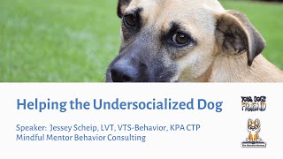 Helping the Undersocialized Dog 11182023