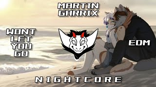 Martin Garrix - Wont Let You Go (EDM) HQ | ✘ Nightcore