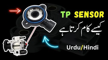 Throttle Position Sensor (TP Sensor) || Location | Function | DTCs | Wiring | Causes | Symptoms