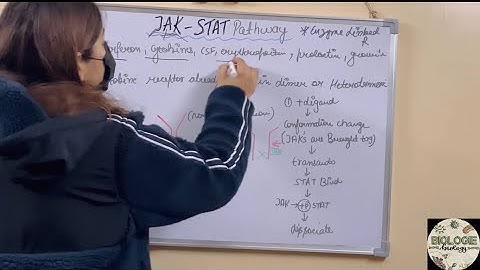 JAK STAT PATHWAY one shot | GATE | ICMR | CSIR-NET | @BiologieTutorials
