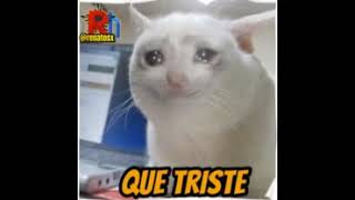 Sábado 27 De Mayo 2001