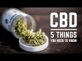 CBD: 5 Things You Need to Know