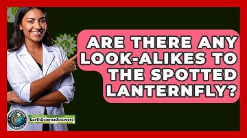 Are There Any Look-Alikes To The Spotted Lanternfly? - Earth Science Answers