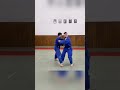 ashi waza dance #judo