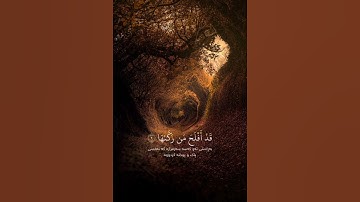 سليمان العتيبي سورة الشمس