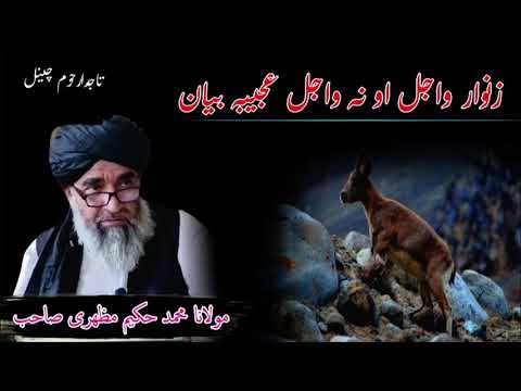        زنوار واجل نه واجل بیان