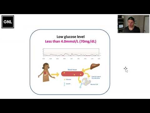 07 Foundations: Hypoglycaemia (www.theglucoseneverlies.com)