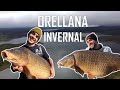 CARPFISHING ORELLANA - Sesión INVERNAL con Álex Padilla & Eduardo von Zedlitz