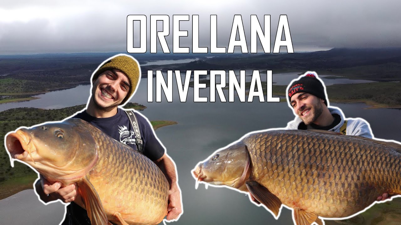 CARPFISHING ORELLANA - Sesión INVERNAL con Álex Padilla & Eduardo von Zedlitz // YOUNG CARP