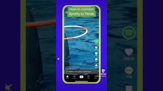 How to connect Spotify to Tiktok
