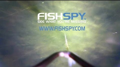 FISHSPY Viewing rig on bottom.