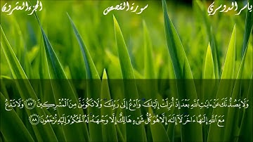 "كل شيء هالك إلا وجهه"-للقارئ الشيخ/ ياسر الدوسري