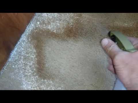 Removing water stains in 5th wheel - Carpet cleaning tips