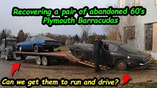 Recovering a pair of abandoned 60's Plymouth Barracudas, will they run and drive again?