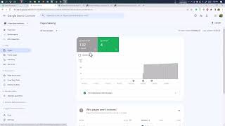 WordPress website not getting indexed in google search | Page is not indexed Excluded by noindex tag