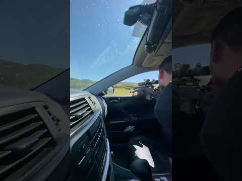 A heavy 223 bolt gun is just way too much fun