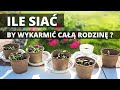 WYSIEW WARZYW Ile nasion wysiać, jak gęsto sadzić warzywa i zioła, by starczyło dla całej rodziny